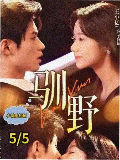 旧巷灯火 姐妹在线观看剧集封面
